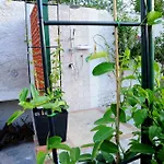 Vila Villino Tecla